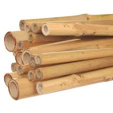 Wooden Bamboos 8 mtr. 