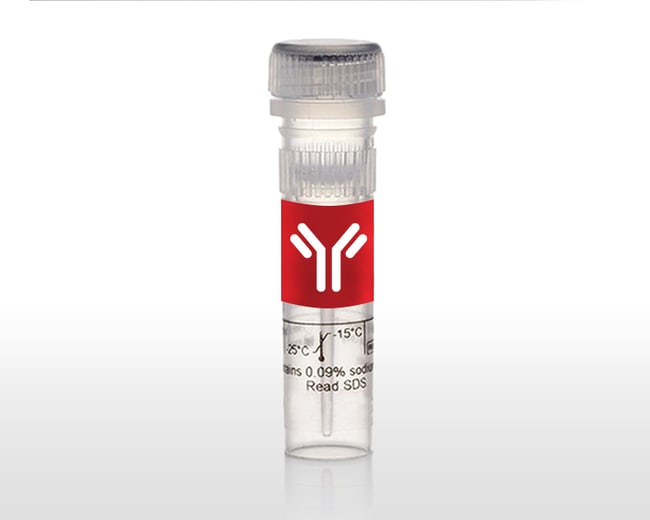 EGA MASTER Bent Nose Plier 200 Mm Inox