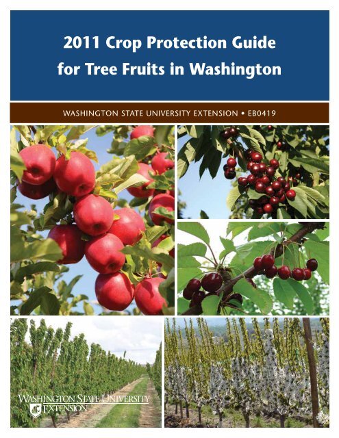 EGA MASTER End Cutting Nipper Plier 200 Mm Inox