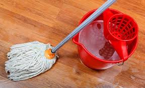 [15687] Water mop