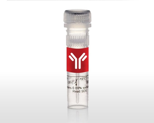 [38008] EGA MASTER Bent Nose Plier 200 Mm Inox